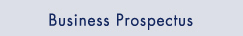 Business Prospectus